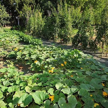 Les Jardins De